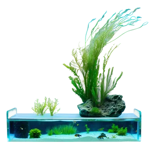 Fish Tank Algae Png Sop PNG Image