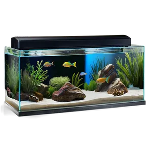 Fish Tank Decoration Png Tuq PNG Image