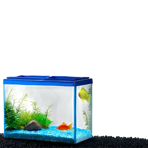 Fish Tank Gravel Png Mmj PNG Image