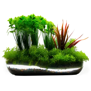 Fish Tank Plants Png 75 PNG Image