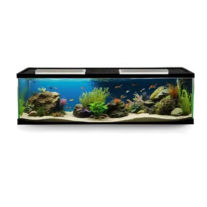 Fish Tank Setup Png 18 PNG Image