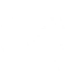 Fist Clutching Arrow Emblem PNG Image