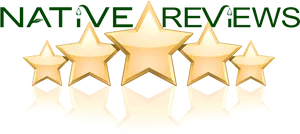 Five Star Rating Graphic PNG Image