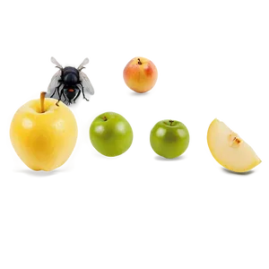 Flies On Fruit Png 98 PNG Image