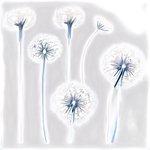 Floating Dandelion Seeds Png 06292024 PNG Image