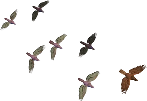 Flock_of_ Birds_in_ Flight PNG Image