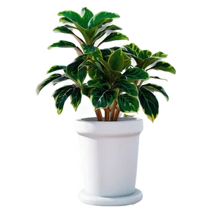 Floor Plant Png Rvx PNG Image