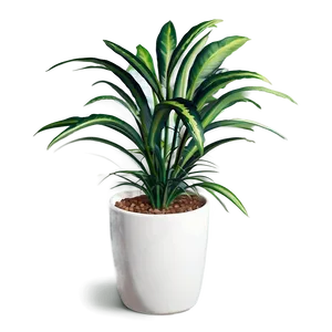 Floor Plant Png Xjq PNG Image