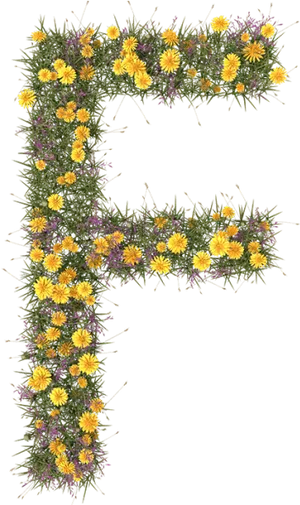 Floral Alphabet Letter F PNG Image