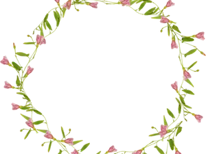 Floral Circle Frame P N G PNG Image