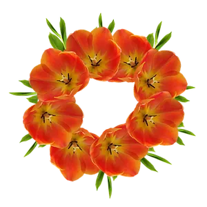 Floral Crown Design PNG Image