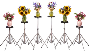 Floral Display Stands Variety PNG Image