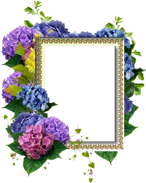 Floral Frame Design Hydrangeas PNG Image