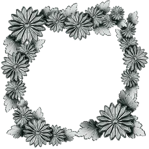 Floral_ Frame_ Graphic PNG Image