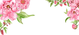 Floral_ Frame_ Top_ Border.png PNG Image