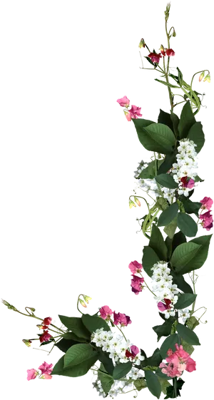 Floral Frameon Black Background.jpg PNG Image