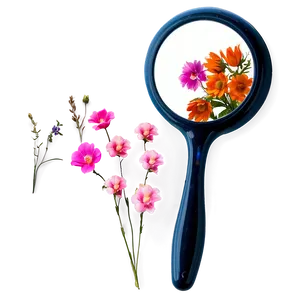 Floral Hand Mirror Png 06212024 PNG Image