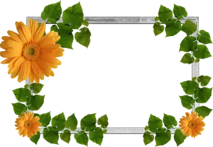 Floral Leaf Decorative Frame PNG Image