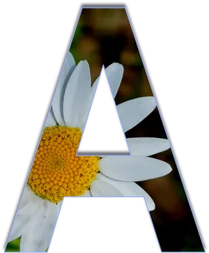 Floral Letter A Design PNG Image