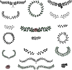 Floral_ Ornament_ Vector_ Collection PNG Image