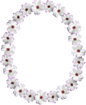 Floral Oval Frame Design.png PNG Image