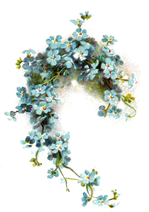 Floral_ Particle_ Effect_ Background PNG Image