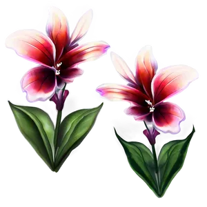 Floral Print Png 71 PNG Image