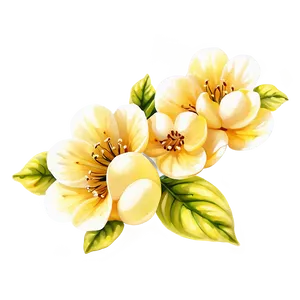 Floral Quince Pattern Png 06262024 PNG Image