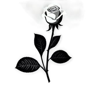 Floral Rose Black And White Png 83 PNG Image