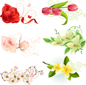 Floral_ Vector_ Collection.png PNG Image