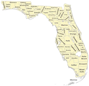 Florida Counties Map Yellow PNG Image