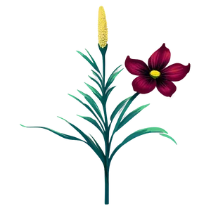 Florida State Flower Png Akr PNG Image