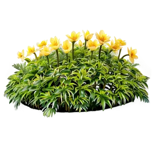 Flower Bed C PNG Image