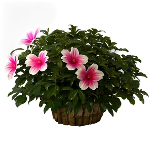 Flower Bush A PNG Image