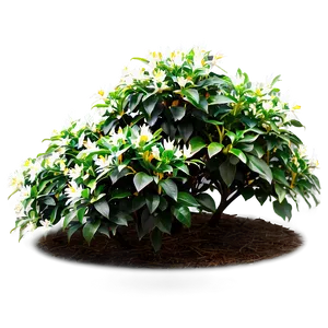 Flower Bush B PNG Image