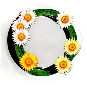 Flower Circle D PNG Image