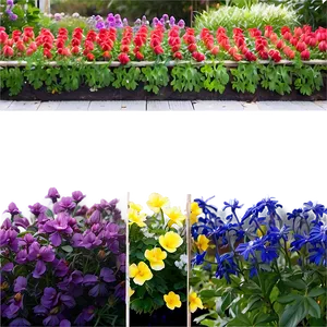 Flower Garden Inspiration Png 41 PNG Image