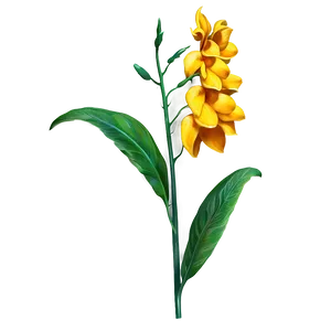 Flower Stem A PNG Image