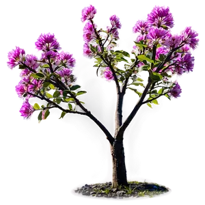 Flower Tree In Sunrise Png 27 PNG Image