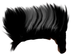 Flowing_ Black_ Hair_in_ Darkness PNG Image