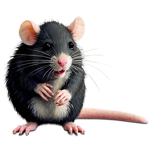 Fluffy Cute Rat Png Fpw PNG Image