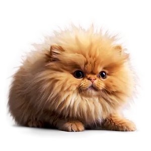 Fluffy Puff Png 06272024 PNG Image