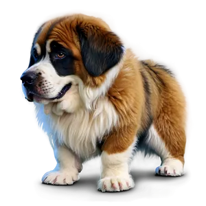 Fluffy St Bernard Coat Png 28 PNG Image