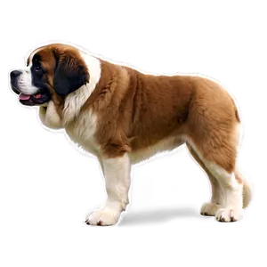 Fluffy St Bernard Coat Png Fvq4 PNG Image