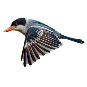 Flying Bird With Open Wings Png 06202024 PNG Image