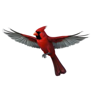 Flying Cardinal Bird Png Jba32 PNG Image