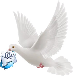 Flying Dovewith Email Envelope PNG Image