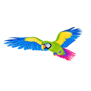 Flying Parrot PNG 06252024 PNG