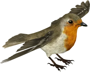 Flying Robin Transparent Background PNG Image