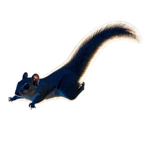 Flying Squirrel Silhouette At Night Png 30 PNG Image